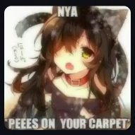 Altsgettinwet45's profile picture