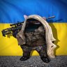 M Fella 🇺🇦🇬🇪🇺🇸 profil fotoğrafı