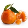 Satsuma Grande 🍊's profile picture