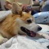 トナキコ2 的头像