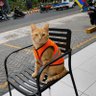 Bob's profile picture