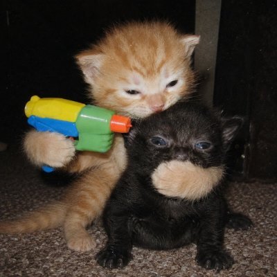 VexiraDarneth's profile picture