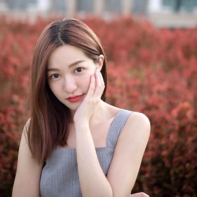 Mỹ Anh's profile picture
