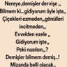 gül gören 的头像