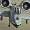 A10-C's profile picture