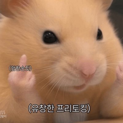 Jin꙼̈'s profile picture