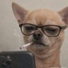 Profilbild von ホセ