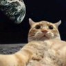 Profilbild von poussai