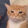 Profilbild von gomoon99