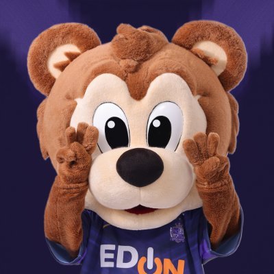 サンチェ Jr【サンフレッチェ広島公式マスコット】🐻's profile picture