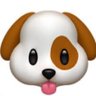 AooA 🐶🤎 profil fotoğrafı