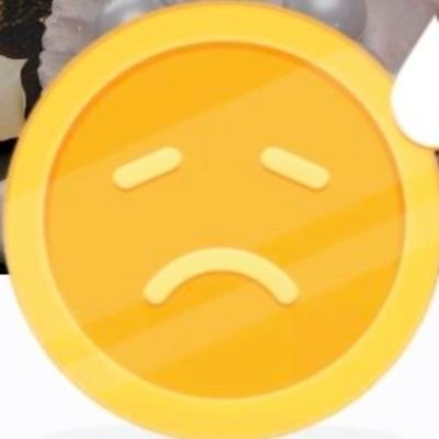 🌟알콩🌟's profile picture