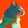 もずく profil fotoğrafı