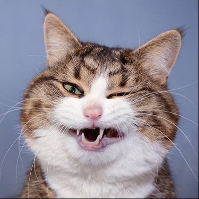maloversss's profile picture