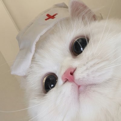 mianzi031's profile picture