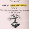 Фото профиля عبدالله ابو راشد