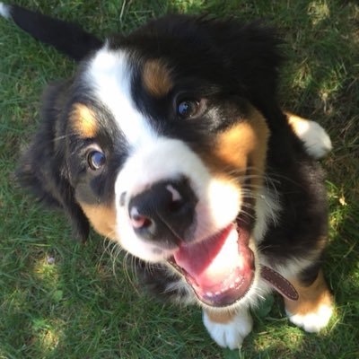 joseph's profile picture