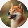 Profilbild von tcm
