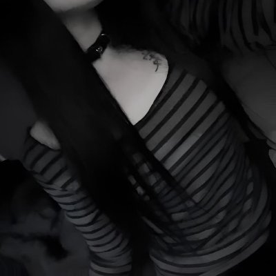 lia_audios's profile picture