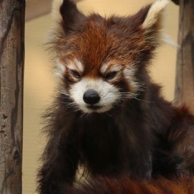 sensoryhourly's profile picture