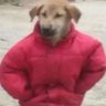 Profilbild von Bl00dtears