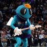 Hornets Fan's profile picture