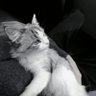 Profilbild von Neo