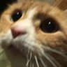 ؘ profil fotoğrafı
