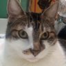 Ticka profil fotoğrafı