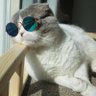 Profilbild von Luli