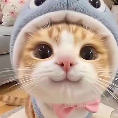 Lyly Rạch Giá's profile picture