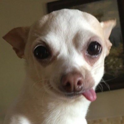 Zєєɳ𝕠𝓈's profile picture