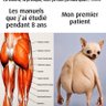 Фото профиля L’étudiant _Azrt🩺
