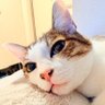 Profilbild von せん