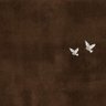 🕸️'s profile picture