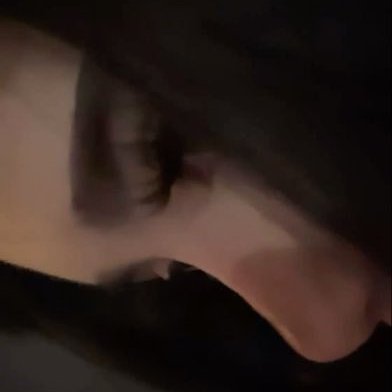 lunagrdt's profile picture