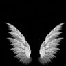حنقان وحوشان's profile picture