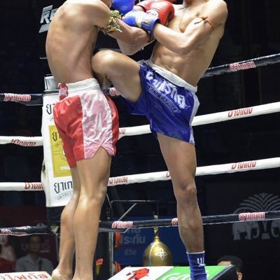 boxingboxerss's profile picture
