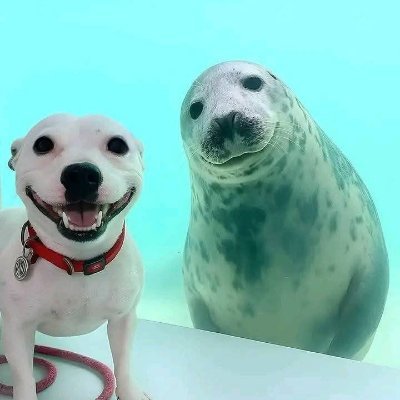 moltenfilms's profile picture