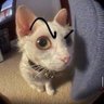 Adrián Hosen's profile picture