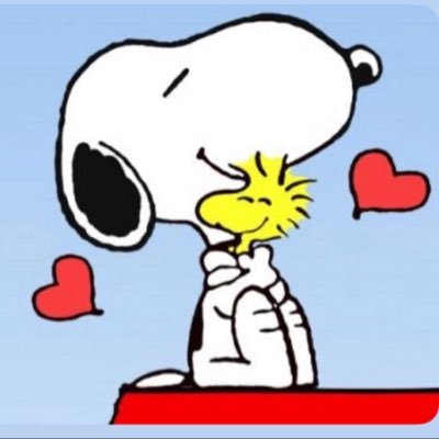 d8wyGmHQOz65495's profile picture