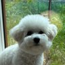 MUNI's profile picture