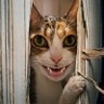 Фото профиля ゆきこりっち
