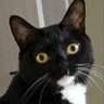 William's profile picture