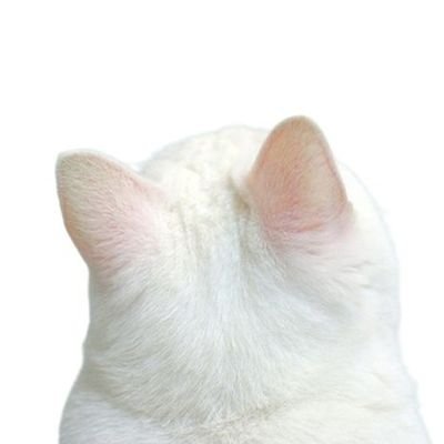 wtothenand's profile picture
