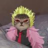 Profilbild von Sogeking