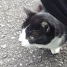 よしおか 的头像