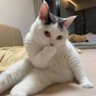 lala 的头像