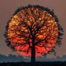 Фото профиля BobKelso