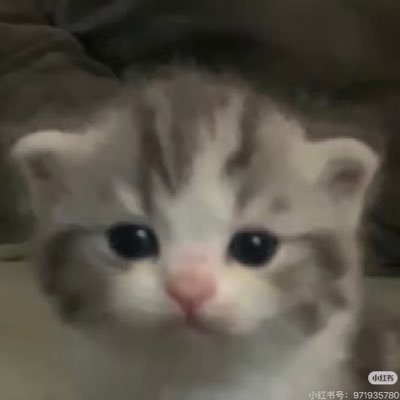 Religo00vv's profile picture